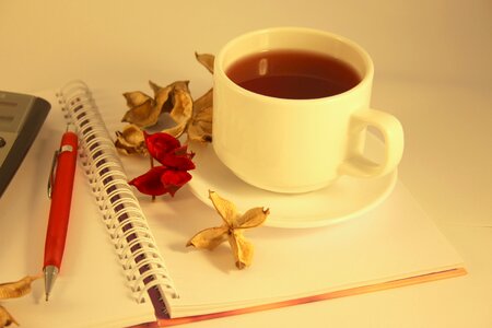 Hot herbal tea lifestyle photo