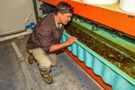 FWS mussel biologist, Jonathan Wardell, examines equipment photo