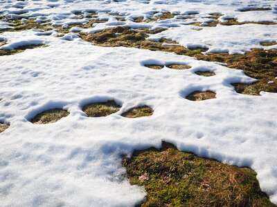 Snow snow melt winter photo