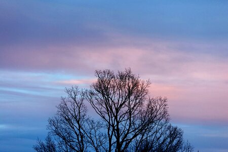 Evening landscape silhouette
