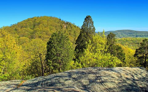 Branch climate countryside photo