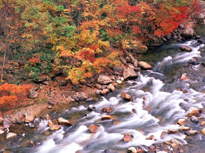 Autumn - mountain river caught with long exposure photo