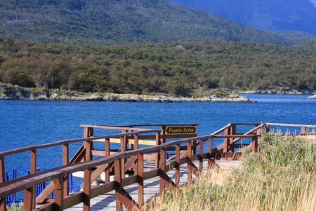 Tierra del Fuego National Park, Argentina photo