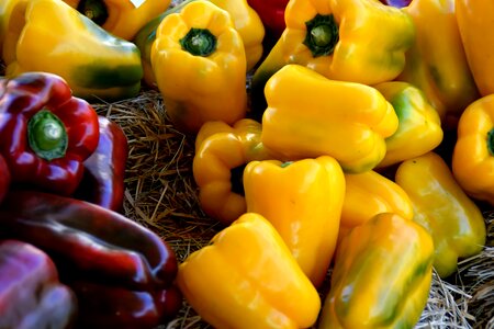 Yellow peppers bell peppers vegetables photo