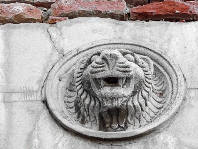 Art bricks lion