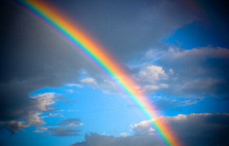 rainbow photo