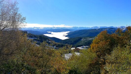 Forest landscape mountains