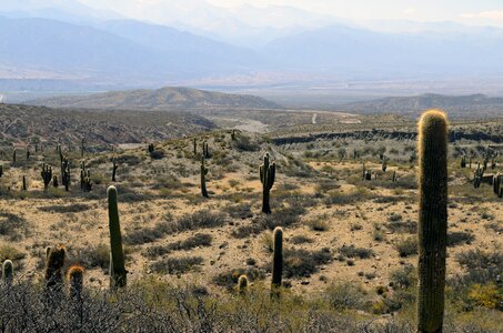 Arizona arid mountains photo