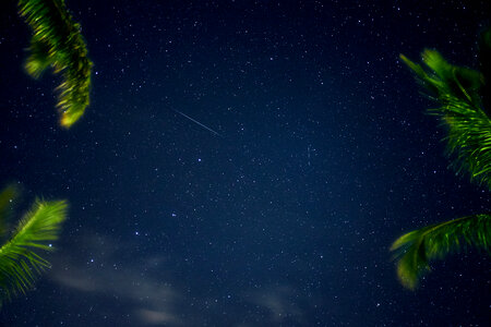 Shooting Stars photo