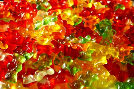 Bear sweetness colorful