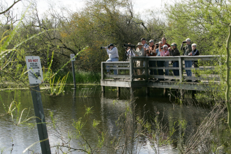 Group of anxious visitors taking pictures