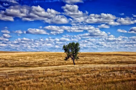 Agriculture blue sky cloud photo