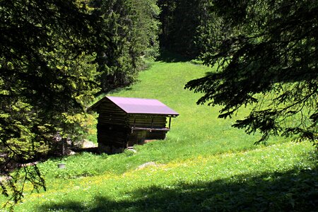Hut pasture log cabin