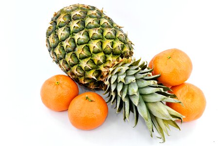 Mandarin pineapple tropic photo