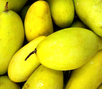 Citrus diet food