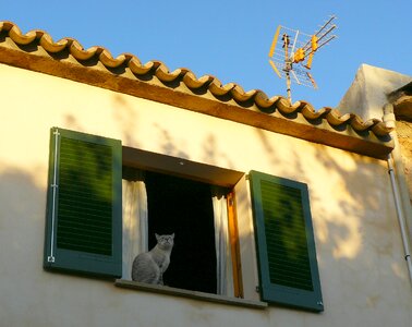 Wall facade architecture photo