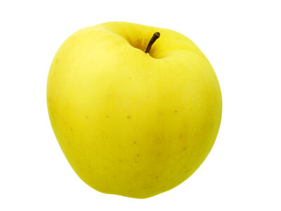 Yellow apple