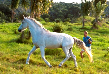 Equine man range