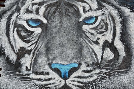 Graffiti tiger decoration