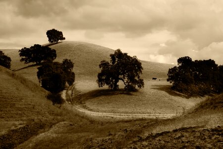 Hills landscape wilderness photo