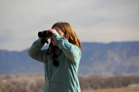 Young birdwatcher on Valle de Oro National Wildlife Refuge photo