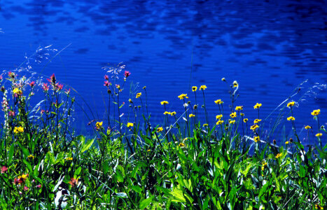 Marble Mountain wilderness-2