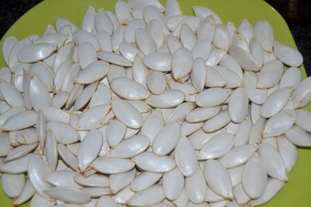 Pumpkin seeds medicinal