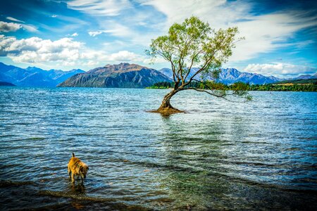 Mountains landscape wilderness