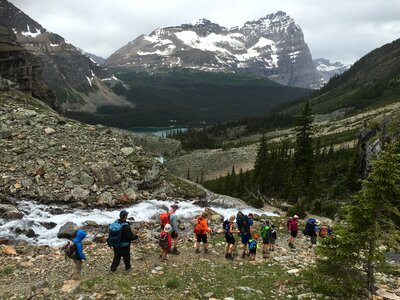 Lake O'Hara, Yoho National Park, Canadian Rockies photo