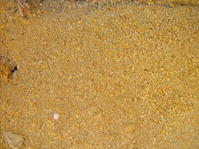 Sand yellow 