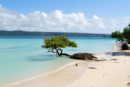 Bay beach caribbean