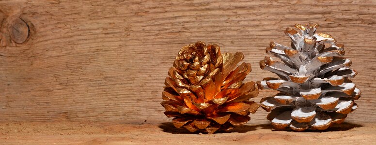 Gold wood background
