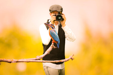 Hummingbird Photographer photo