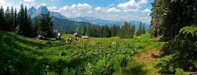 Nature mountains alps