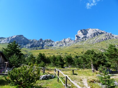 Il cimonasso cimonasso cima delle colme photo