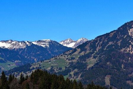 Forest mountain meadows outlook