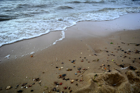 Shoreline landscape on the North Sea
