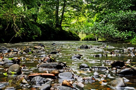 River water rock photo