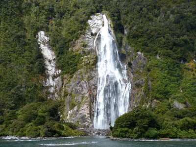 Murmur new zealand milford sound photo