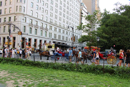 Horse and carriage at Central Park, New York City photo