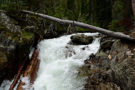 Waterfall on Cascade Creek in Grand Teton National Park photo