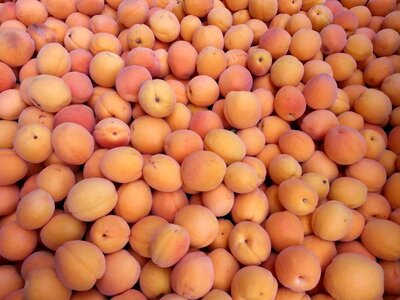 Agriculture antioxidant daylight