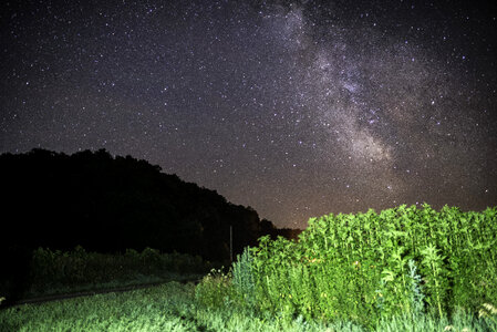 Milky Way Galaxy above the tall grass at Hogback Prairie photo