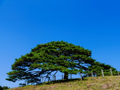 Japan hill sky