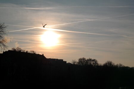 Contrail sun sky photo