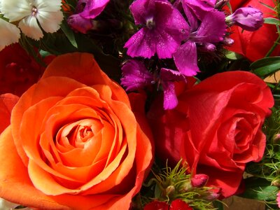 Roses bouquet romance