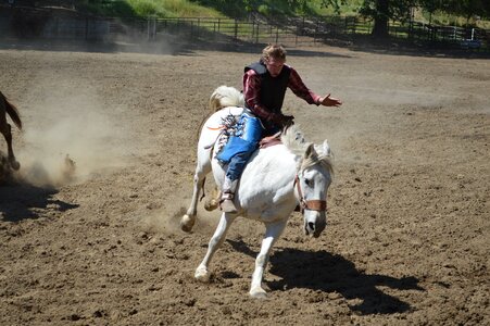 Ride horse cowboy photo