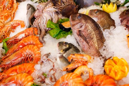 Seafood Healthy Sea Fresh photo