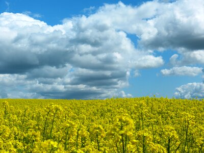 Clouds yellow blue photo