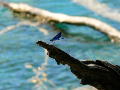 Fragility nature moment